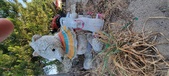 Enlarge photo 334
