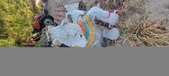 Enlarge photo 335