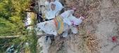 Enlarge photo 337
