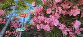 Enlarge photo 344