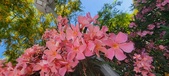 Enlarge photo 346