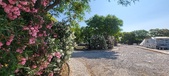 Enlarge photo 357