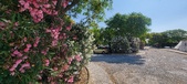 Enlarge photo 358