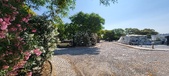 Enlarge photo 359