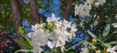 Enlarge photo 364