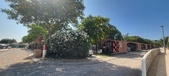Enlarge photo 366