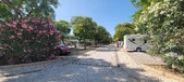 Enlarge photo 370
