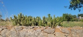 Enlarge photo 381