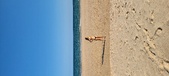 Enlarge photo 394