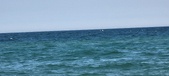 Enlarge photo 398