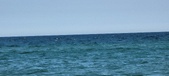 Enlarge photo 399