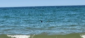 Enlarge photo 400
