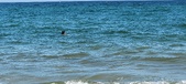 Enlarge photo 401