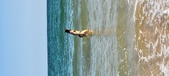 Enlarge photo 407