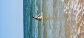 Enlarge photo 406