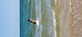 Enlarge photo 405