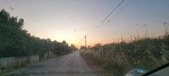 Enlarge photo 444