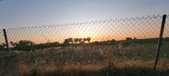 Enlarge photo 449