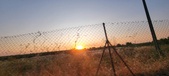 Enlarge photo 450