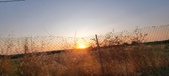 Enlarge photo 451