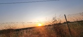 Enlarge photo 452