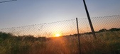 Enlarge photo 453