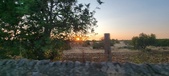 Enlarge photo 454