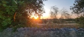 Enlarge photo 458