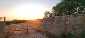 Enlarge photo 457