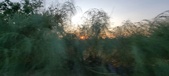 Enlarge photo 456