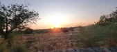 Enlarge photo 455