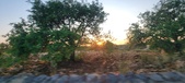 Enlarge photo 459