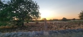 Enlarge photo 460