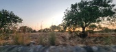 Enlarge photo 461