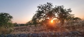 Enlarge photo 466
