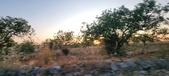 Enlarge photo 465