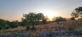 Enlarge photo 464