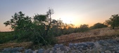 Enlarge photo 463