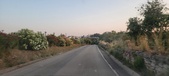 Enlarge photo 468