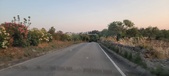 Enlarge photo 499