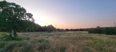 Enlarge photo 469