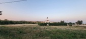 Enlarge photo 470