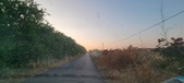 Enlarge photo 473