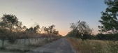 Enlarge photo 476