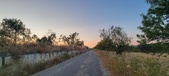Enlarge photo 474