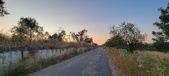 Enlarge photo 478