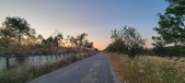 Enlarge photo 479