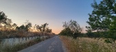 Enlarge photo 480