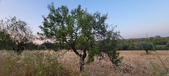 Enlarge photo 481