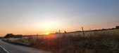 Enlarge photo 484